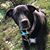 Brandi Lee Smith's profile image