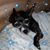 Annette Ippolito's profile image