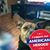 Betty Kmiec's profile image