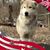 Kimberly Coey's profile image
