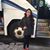 Brooklyn Muñiz Saida's profile image