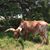 Bob Gray's profile image
