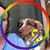 Megan McQuinn Sullivan's profile image