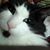 Debbie Kirby's profile image