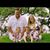 Brandi Elaine Green's profile image