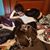 Jesse Perez's profile image