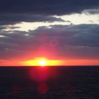 Kimberly Gerhold Neal's profile image