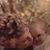 Lucy Blaylock Gable's profile image
