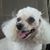 Portia Yawney's profile image