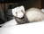 Ginny D.'s profile image
