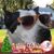 Patricia Becker Cuomo's profile image