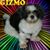 Jim Guinta's profile image