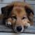 Maureen Patterson's profile image