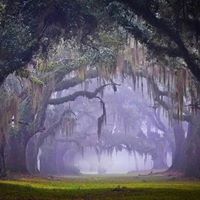 Karen Box Rusling's profile image