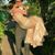 Kimberly Cook's profile image
