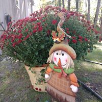 Denise Peightell Frost's profile image
