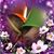 Kimberley Gross's profile image