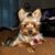 Yvonne Walters Cathey's profile image