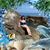 Diane C Avery-Rosas's profile image