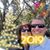 Dawn Dupont's profile image