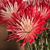 Marlene Kroll's profile image