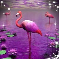 Cheryl Cauley-Krappitz's profile image