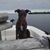 Kenda Smalley Ketchum's profile image