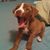 Lori Ann Freeman's profile image