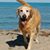 Michelle Zschetzsche's profile image