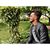 Nadeem Rehan's profile image