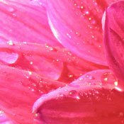 Value of Kindness D.'s profile image