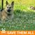 Connie Sparman's profile image