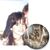 Rosa M Martin's profile image