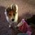 John N Jane Melton's profile image