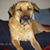 Dulce Corazon's profile image