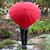Barbara Sloan Lemke's profile image