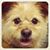 Mike Young's profile image