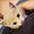 Karsyn Wetzel's profile image