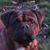 Marian Knott's profile image