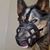 Allen Jencik's profile image