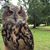Jaya Chafin's profile image