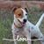 Renee S DeVore's profile image