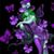 Lee Byrum's profile image