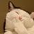 Ina Ami-etsitty's profile image