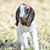 Clarissa Feeback's profile image