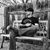 Doug Krebs's profile image