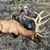 Lisa Hall Norton's profile image
