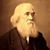 William A. Sutherland's profile image