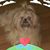 Joyce Boyles's profile image