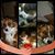 Shawna Sandman's profile image